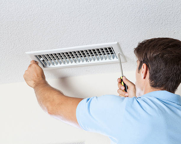 Trusted Cortez, CO Mold Removal Experts