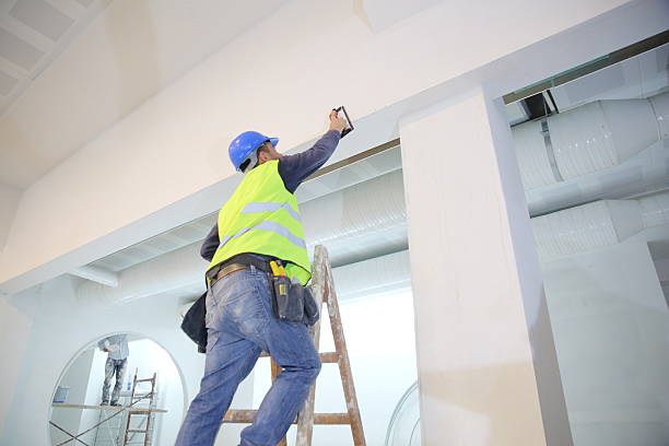 Biohazard Mold Removal in Cortez, CO